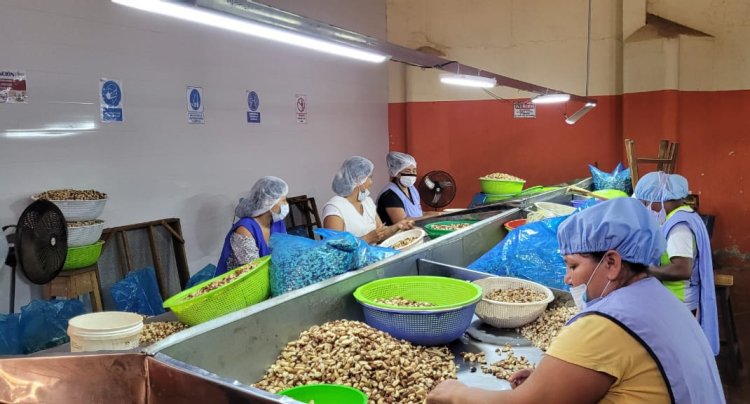 Las mujeres tienen asueto de media jornada laboral este miércoles 11 de octubre