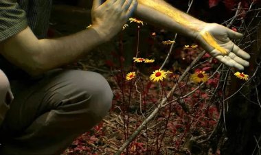 Científicos crearon una cámara que muestra cómo ven realmente los colores los animales