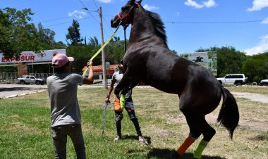 Primera Jornada de Carreras Cuadreras en Tarija: Cultura, Tradición y Emoción.