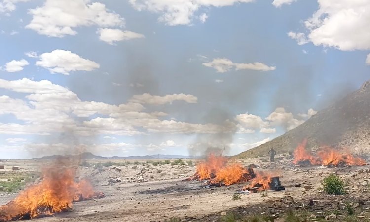 Cerca de 9 toneladas de droga fueron incineradas por la FELCN y el Ministerio Público