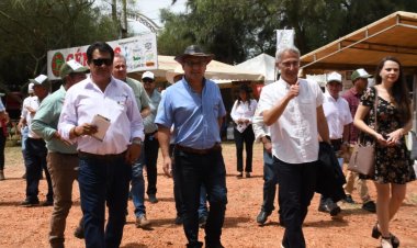 Tercer Encuentro de Viña en Tiempos de Vendimia