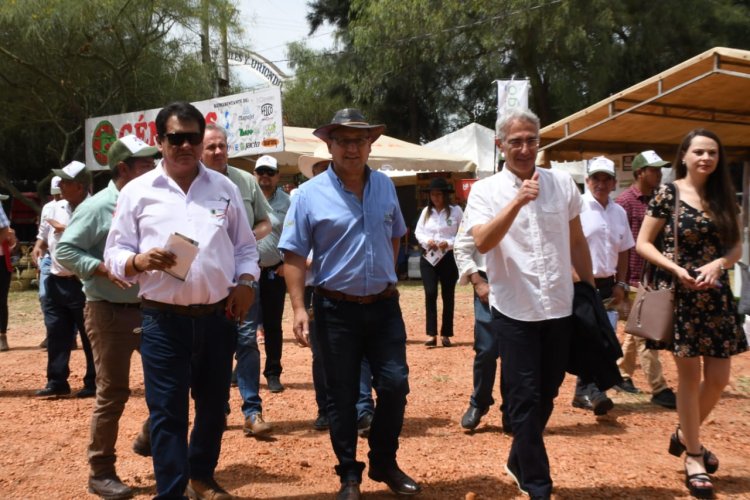 Tercer Encuentro de Viña en Tiempos de Vendimia