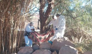 AUTOR DEL FEMINICIDIO DE SU CÓNYUGE FUE SENTENCIADO A 30 AÑOS DE CÁRCEL EN EL MUNICIPIO DE TUPIZA