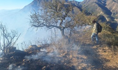 Incendio en la comunidad de La Angostura: las llamas persisten debido a ráfagas de viento