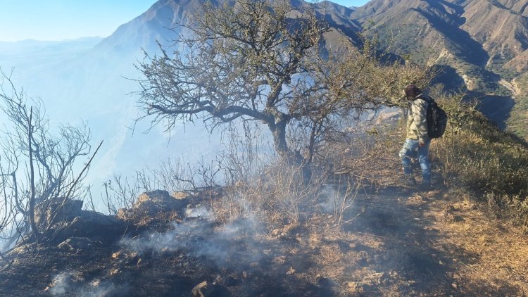 Incendio en la comunidad de La Angostura: las llamas persisten debido a ráfagas de viento