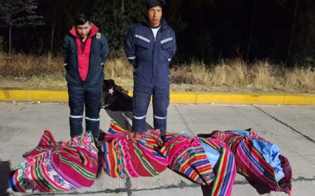 Decomisan 503 paquetes de marihuana en Sucre y detienen a 3 personas