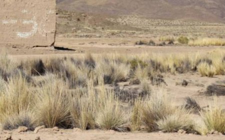 Encuentran a un hombre carbonizado en Oruro: Sospechan ajuste de cuentas