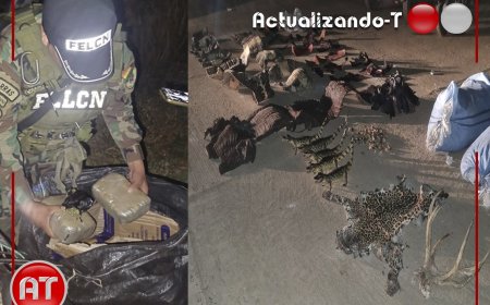 Desarticulan punto de acopio de drogas y tráfico de especies en Beni