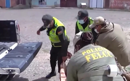 ¡Extrema Violencia! Encuentran dos cuerpos con signos de tortura en Oruro