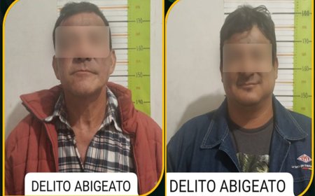 Robo y Faenado de Ganado en la Comunidad Algarrobo en Villa Montes.
