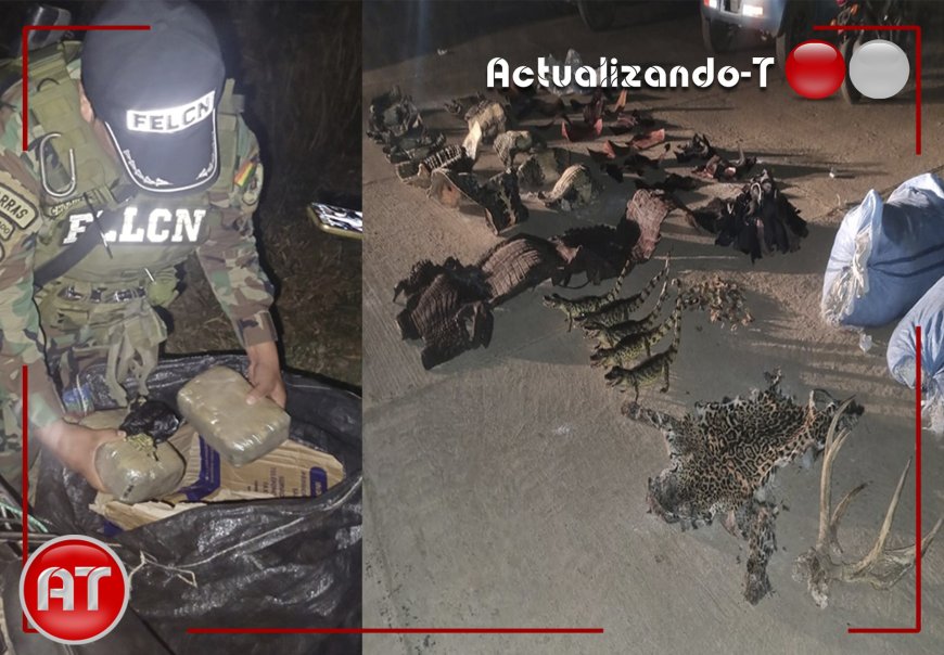 Desarticulan punto de acopio de drogas y tráfico de especies en Beni
