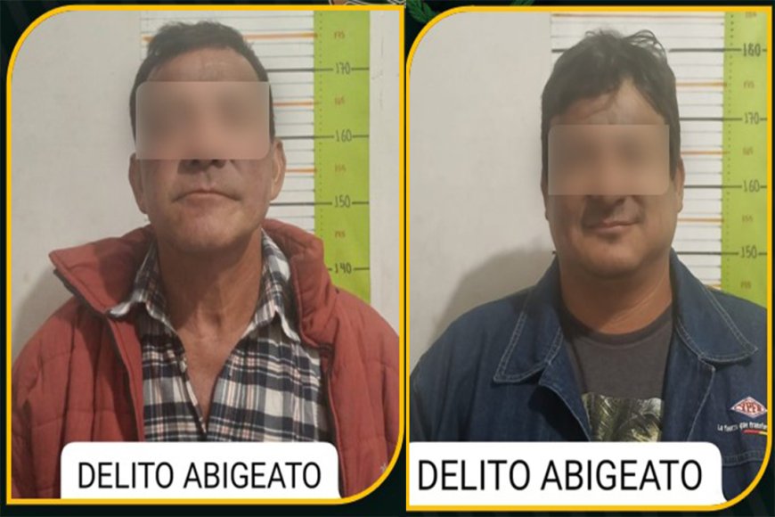 Robo y Faenado de Ganado en la Comunidad Algarrobo en Villa Montes.