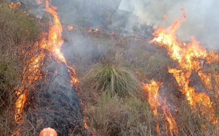 La víctima del incendio forestal en Tarija era trabajador de la ABC