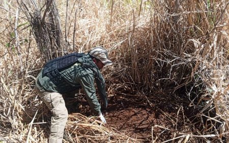 Infanticidio en San Ignacio de Velasco: Fiscalía investiga el asesinato de una niña de ocho años.