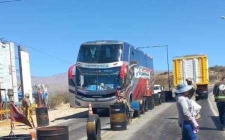 Empresa Narvaez Ignora Suspensión y Continúa Operaciones: Flota Interceptada en Pajchani