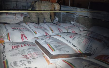 Fuerza de Tarea Conjunta “Delta” incauta dos camiones con harina de contrabando