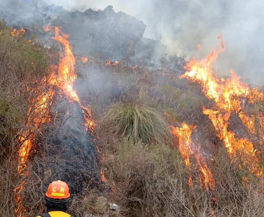 La víctima del incendio forestal en Tarija era trabajador de la ABC