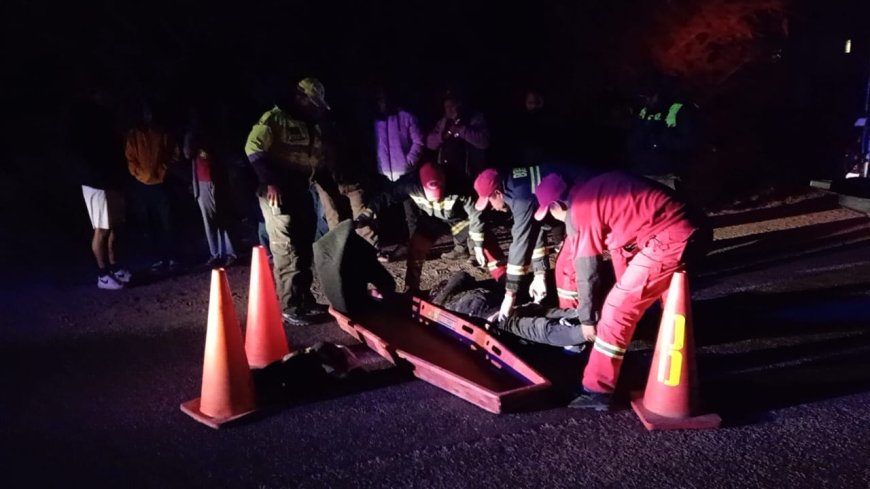 Trágico Accidente en la Ruta San Andrés - Tarija: Un Peatón Pierde la Vida Tras Ser Atropellado