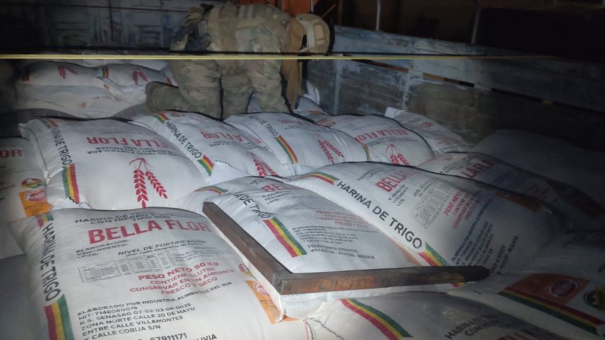 Fuerza de Tarea Conjunta “Delta” incauta dos camiones con harina de contrabando