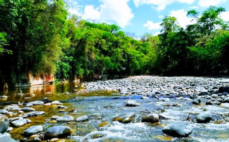 Encuentro de defensoras y defensores de Tariquía clave para el resguardo del agua y los derechos humanos en Bolivia