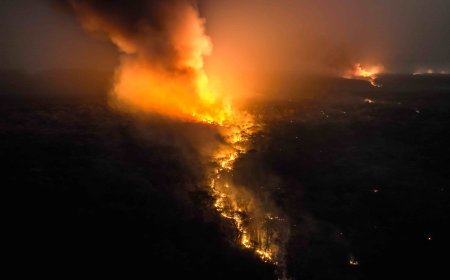 Viceministro de Defensa Civil Asegura que los incendios Forestales en Bolivia están controlados