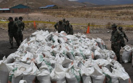 Frustran tráfico de 21,6 toneladas de cocaína camuflada como harina de soya