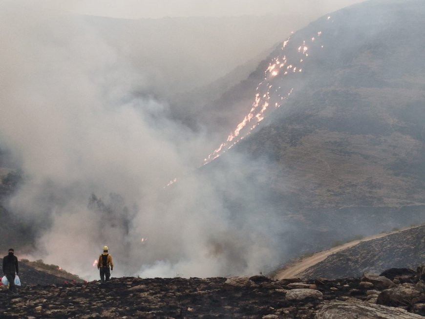 Notifican a mujer por incendio que afectó más de 200 hectáreas en la provincia Méndez, Tarija