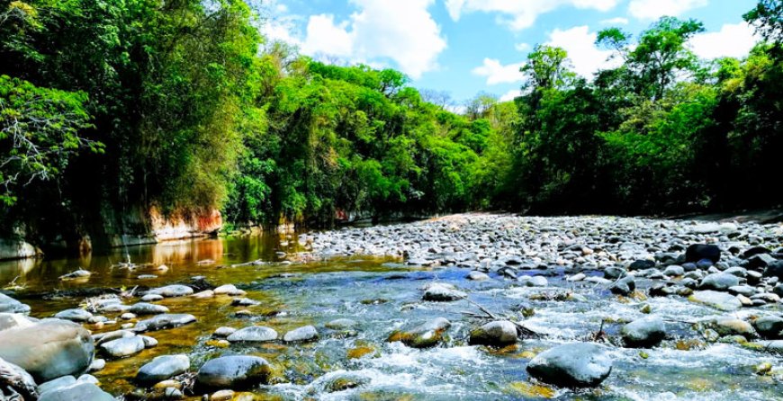 Encuentro de defensoras y defensores de Tariquía clave para el resguardo del agua y los derechos humanos en Bolivia