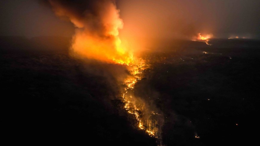 Viceministro de Defensa Civil Asegura que los incendios Forestales en Bolivia están controlados