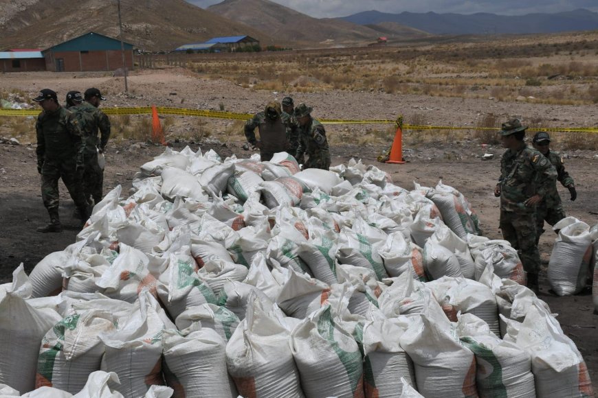 Frustran tráfico de 21,6 toneladas de cocaína camuflada como harina de soya