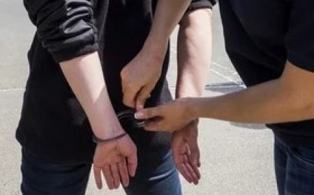 Juez determina 3 años de cárcel para dos mujeres que envenenaron a 7 canes.