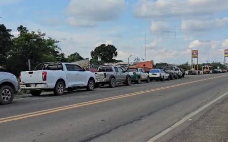 Anapo alerta de posibles pérdidas en cosecha y disminución  del área de siembra si no hay diésel de inmediato