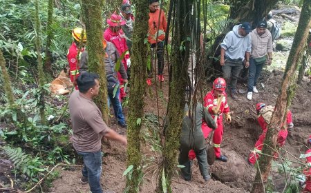 Autopsia Del Idif Revela Que Cuatro De Las Cinco Víctimas Asesinadas En La Comunidad De Puka Mayu Murieron Por Impactos De Arma De Fuego