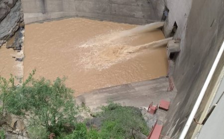 Rescate exitoso de un perrito en la represa de San Jacinto.