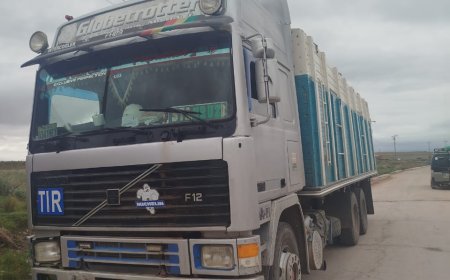 Militares comisaron 400 quintales de maíz de contrabando valorados en Bs48.000