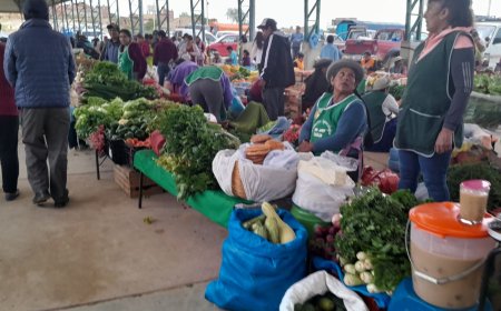 La Feria del Productor al Consumidor: un espacio de precios justos y accesibles