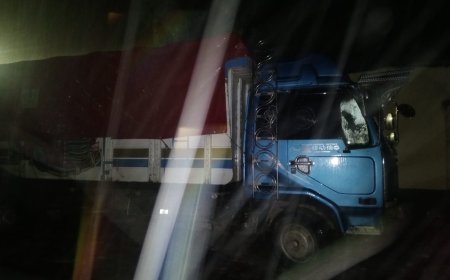 En operativo de Aduana se comisó un camión con harina, aceite y energizantes de contrabando en Potosí.