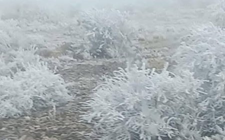 Nieve cubre la zona alta de Tarija, SENAMHI  emitió alerta naranja por heladas en La Paz, Oruro y Potosí.