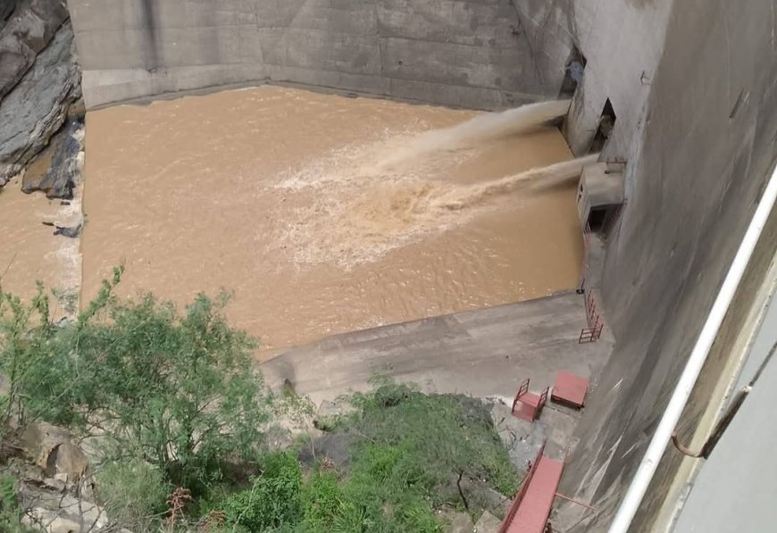 Rescate exitoso de un perrito en la represa de San Jacinto.