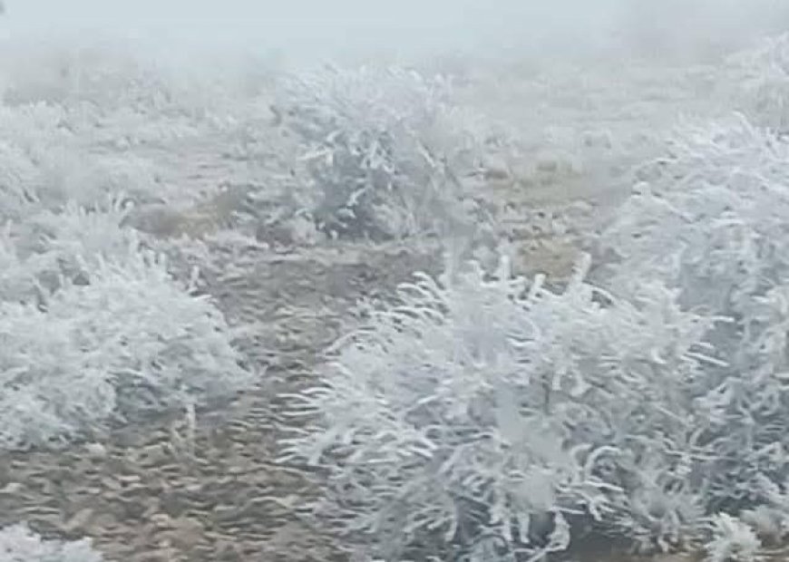Nieve cubre la zona alta de Tarija, SENAMHI  emitió alerta naranja por heladas en La Paz, Oruro y Potosí.