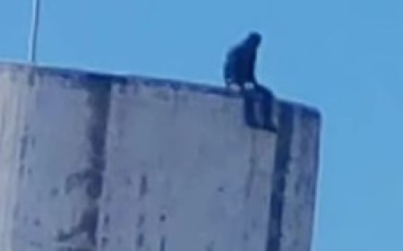 ¡Intento de suicidio en el estadio IV Centenario de Tarija! Policía evita la tragedia