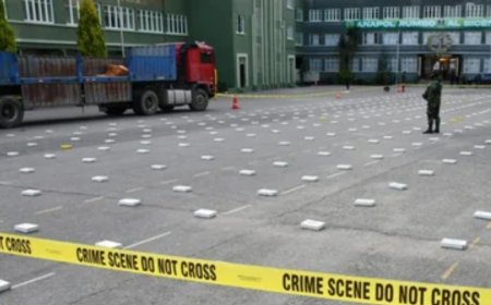 Conozca la forma en la que camuflaban droga en un tráiler con destino a Argentina.