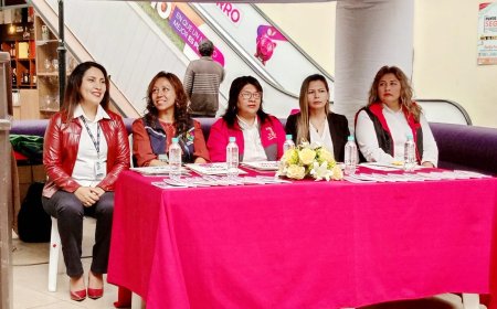 Lanzaron la señal de auxilio para prevenir la violencia en el sur de Bolivia.