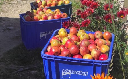 Iscayachi fue sede de un taller especializado de Manejo Integrado del cultivo de Manzano.