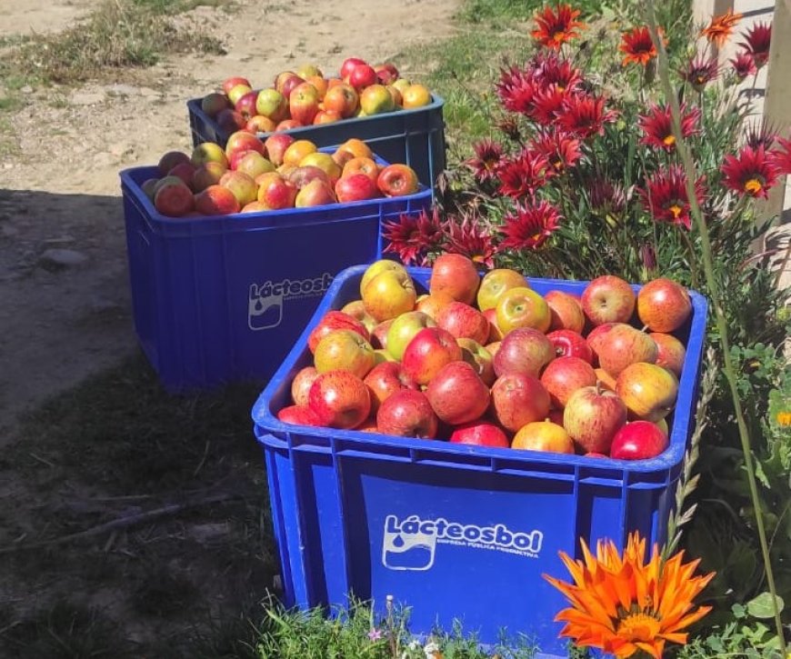 Iscayachi fue sede de un taller especializado de Manejo Integrado del cultivo de Manzano.