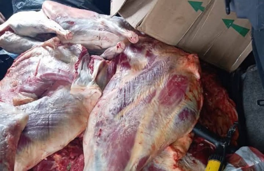 Capturan a presuntos ladrones de ganado en Yacuiba con carne faenada de origen ilegal