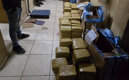 Tráfico de droga en Bermejo: dos personas detenidas con más de 200 kilos de marihuana.