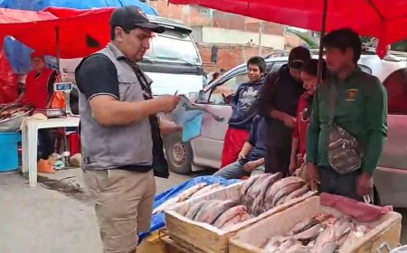 Operativo en el mercado El Dorado: decomisan sábalo por no cumplir con el tamaño reglamentario