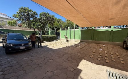 Sorprendieron a un sujeto con 64.650 gramos de Marihuana en la ruta Potosí-Tarija.