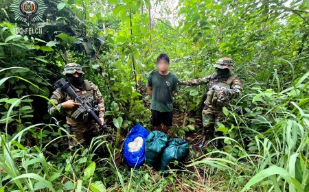 FELCN Incauta Más de 90 Kilos de Pasta Base de Cocaína en Chimoré